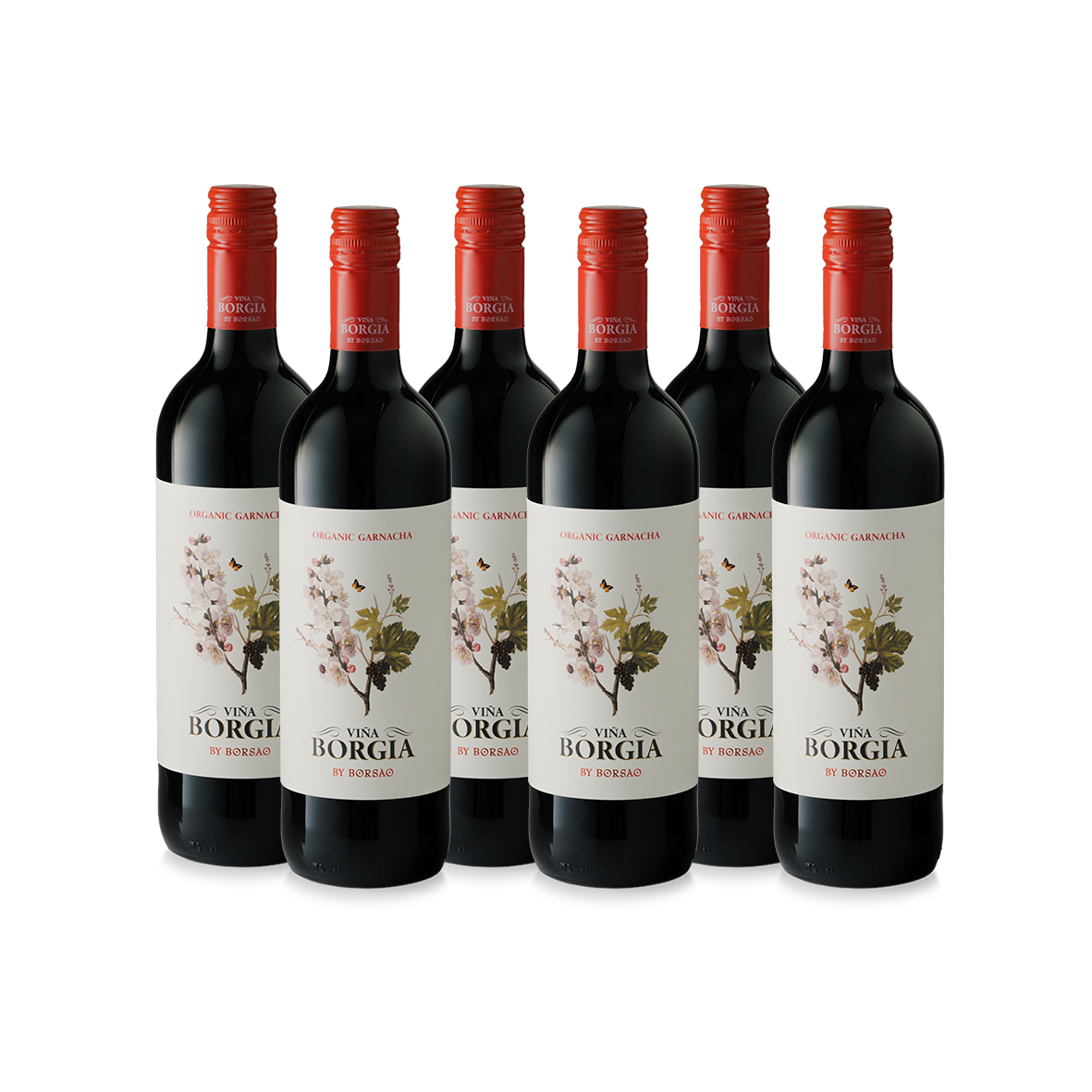 Le Primeur Vino Rosso Biologico 5本セット Viña Borgia Organic 2024. Caja de seis botellas. – Bodegas Borsao