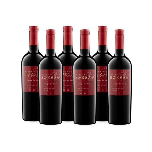 Borsao Selección Crianza 2020. Caja de seis botellas.