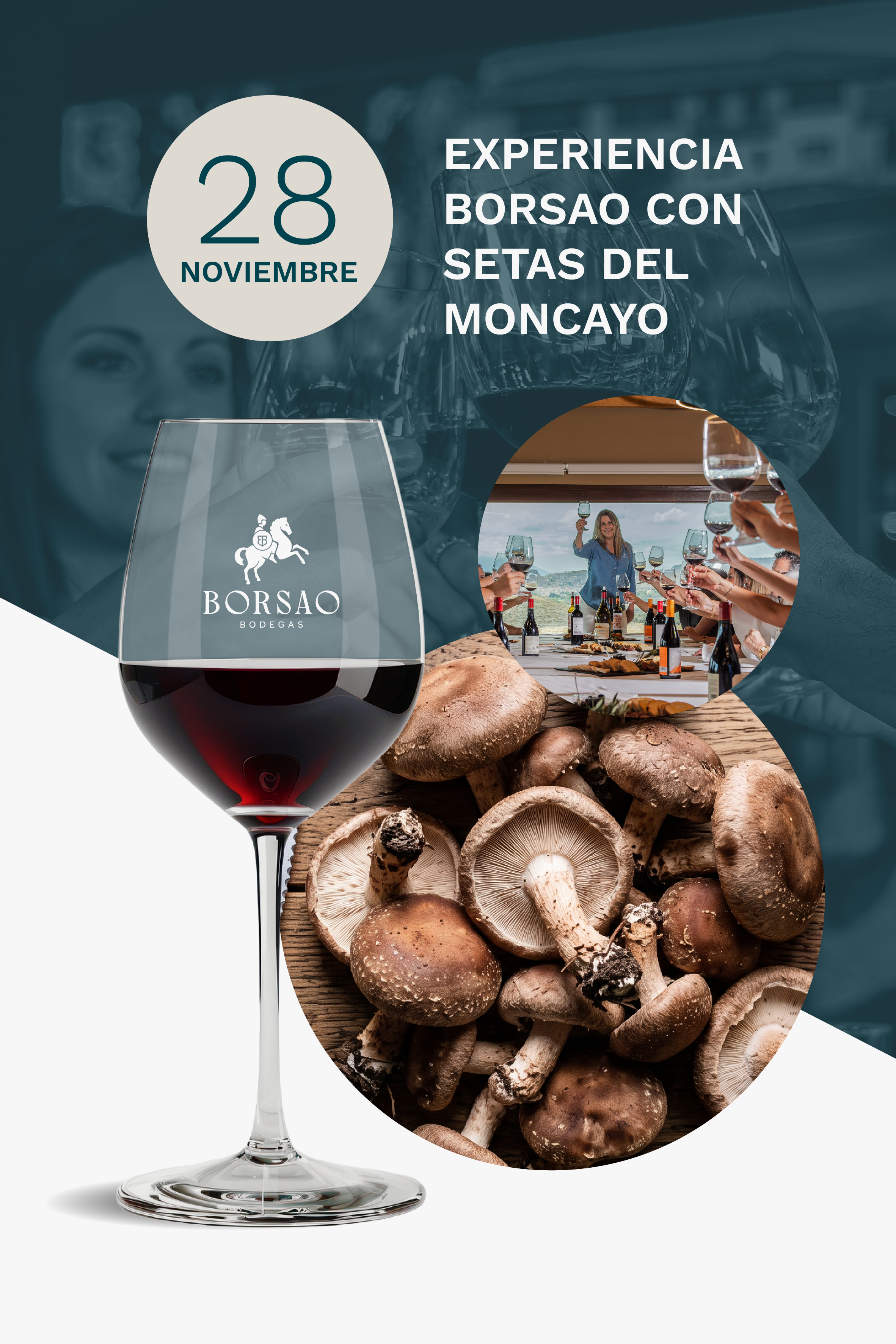 28 de noviembre | Experiencia Borsao con setas del Moncayo