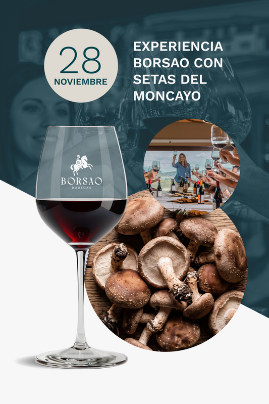 28 de noviembre | Experiencia Borsao con setas del Moncayo
