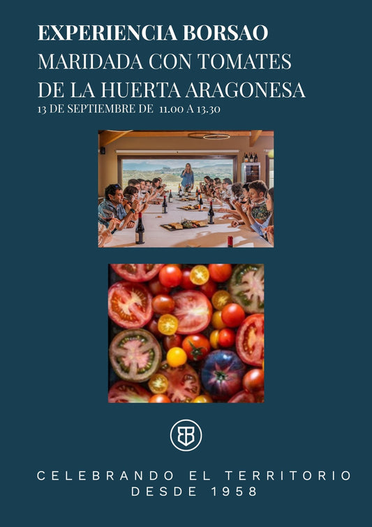 Experiencia Borsao con degustación de tomates de la gran huerta aragonesa